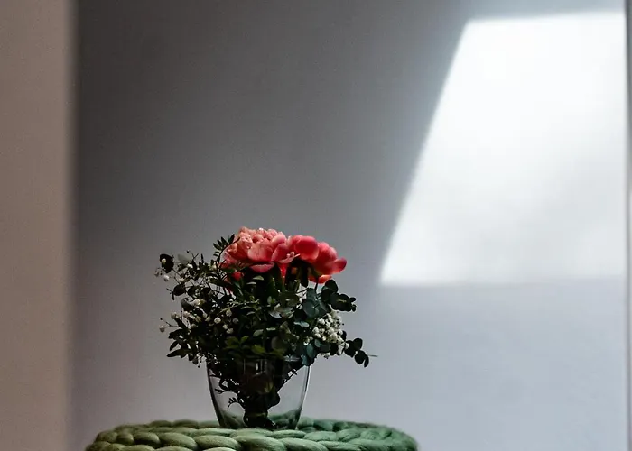 Glashaus Mit 3 Gaestezimmer